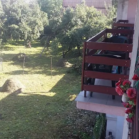 Pensiunea Mallorca Guest house Viseu de Sus