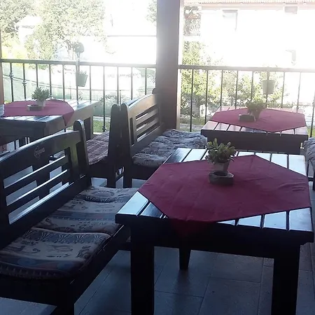 Guest house Pensiunea Mallorca Viseu de Sus